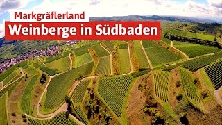 Die Weinberge in Südbaden  am Kaiserstuhl und im Markgräflerland [upl. by Cogn]