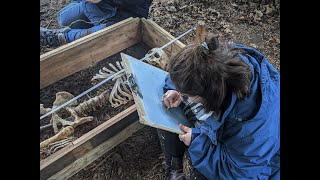 What is Forensic Anthropology Our Field School Introduction  Dead Men Do Tell Tales [upl. by Tikna773]