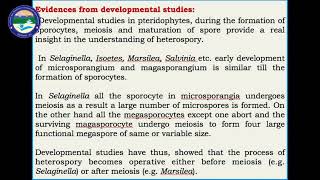 Heterospory and Seed Habit in Pteridophytes [upl. by Hploda]