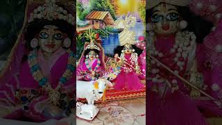 Highlight 244  744 from Laddu gopal ki sewa laddu gopal ki arti bhakti songs mere laddu gopal [upl. by Nnyltiak]