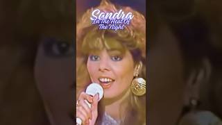 Sandra  In The Heat Of The Night shorts sandra 80s retromusic 80smusic foryou music pop [upl. by Frangos545]