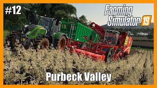 MAKING MONEY WITH POTATO HARVEST  Purbeck Valley Farm  Farming Simulator 19  FS19  Episode 12 [upl. by Estrellita]