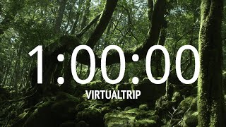 1 Hour Timer  Japan quotYakushima Islandquot Relaxing and Calm Music [upl. by Marget]