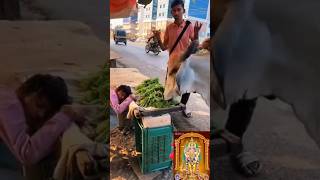 Helping help cow animalscomedy comedyfilms funny comedymovies tamil tamilcomedy motivation [upl. by Ande]