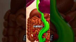 Food  For Liver Health 33 food liver health [upl. by Leirej]