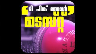 THE PINK BALL TEST  BORDER GAVASKAR TROPHY  GAYATHRI SATHYADEV  NOCAP CULTURE [upl. by Llerrud792]