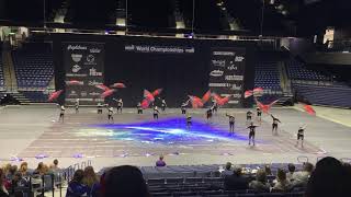 Emerald Independent Winterguard 2019  WGI SemiFinals [upl. by Adnat]