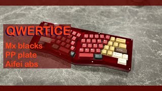 Qwertice  pp plate  mx blacks [upl. by Ahcsrop234]