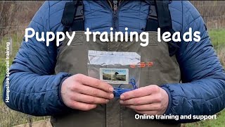 Basic puppy Leadleash training working Cocker Springer Spaniel gundog training obedience [upl. by Alidis]