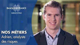 Nos métiers  analyste des risques  Banque de France [upl. by Doxia]