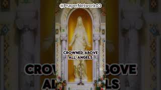 Catholic Prayer of Reverence Hail O Virgin Mary HailOMother VirginMary CatholicPrayer [upl. by Ail]