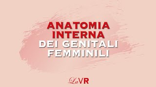 La Valigia Rossa presenta Lanatomia interna dei genitali femminili [upl. by Assirt]