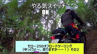 セロー250オフロードツーリング（ゆっくりと～、走りますかーー！）その2 2024年10月6日 [upl. by Tildi]