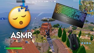 Steelseries Apex 3 😴 Fortnite Keyboard Sound ASMR ⭐ [upl. by West]