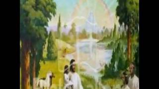 SDA Afaan Oromo Song By Girmayye Bmp4 [upl. by Aekal]