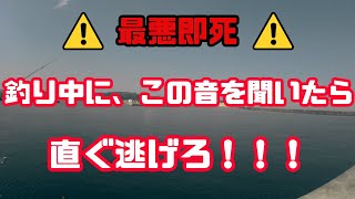 茨城県大津港・良型アジが釣れたが、私は逃げた【2024年7月23日】 [upl. by Annairam]