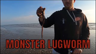 How to Pump BIG lugworm [upl. by Launce]