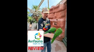 AVIFAUNA NEDERLAND  Beoordeling  Avis  Review [upl. by Maynord]