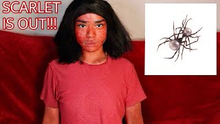 Doja Cat  Scarlet Album Reaction [upl. by Rriocard]