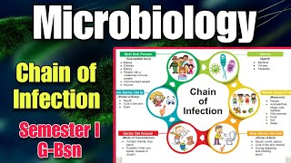 Explaining the Chain of Infection  How to break the Chain of infection  Microbiology amp its basics [upl. by Estella]