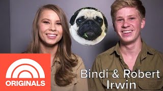 Bindi And Robert Irwins Family Pug Is ‘One Of The Sweetest Animals’ They Know  My Pet Tale  TODAY [upl. by Lamhaj]