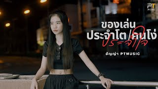 ของเล่นประจำโต คนโง่ประจำใจ Cover by อัญญ่า PTmusic [upl. by Mafala449]