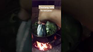 Cooking Tinolang Isda asmrcooking asmrsound family food homegarden veggies [upl. by Eupheemia]