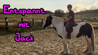 Entspannte Abendrunde mit Tinker Jack 🦄 Reiten im Sonnenuntergang 😍 [upl. by Pansy]