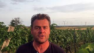 Austrias Carnuntum wine region with Gerhard Markowitsch [upl. by Adamik]