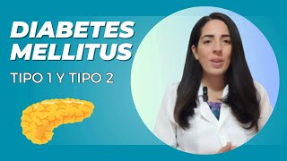 Diabetes Mellitus Tipo 1 y 2 Diferencias [upl. by Levania373]