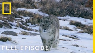 Mountains Full Episode  Hostile Planet [upl. by Millicent777]