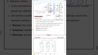 carbohydrates chemistry part2 [upl. by Buttaro687]