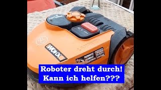 Der Testfriese  Mähroboter dreht durch [upl. by Jeno90]