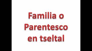 Familia en tseltal Parentesco [upl. by Severn598]