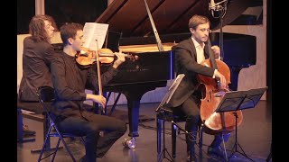 Mendelssohn trio n° 1 op 49  Trio Nebelmeer [upl. by Naynek]