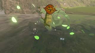 Korok seeds  Rabia Plain  Hateno Tower 34  Zelda BOTW [upl. by Eichman]