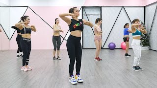 AEROBIC DANCE  Best Standing Exercises for a Small Waist amp Flat Belly [upl. by Anaes629]