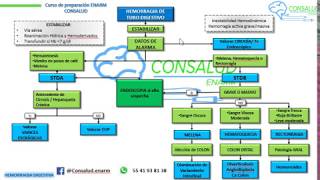 HEMORRAGIA DE TUBO DIGESTIVO [upl. by Redd]