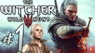 The Ride of the Witcher  The Witcher Season 3 Soundtrack from the Netflix Original S [upl. by Siradal855]