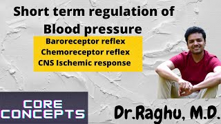 Short term regulation of blood pressure  The Baroreceptor reflex  Vasomotor center [upl. by Aleuname]