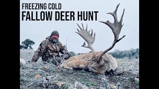 Texas Fallow Deer Hunt in an ICE STORM at Texas Hunt Lodge [upl. by Dorcia]