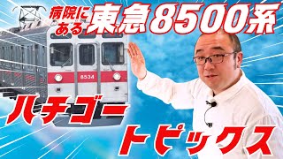 【ハチゴープロジェクト】ハチゴー最近のトピックス【病院にお引越した東急8500系】 [upl. by Avad]