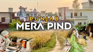 Punjab Village Life Vlog  Mera Pind  Raian Ludhiana  villagelife villagefood [upl. by Aliakim875]