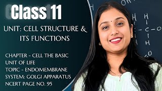 CLASS 11  CH8 CELL  GOLGI APPARATUS  NCERT PG 95  BY DIKSHA MAAM  NEET [upl. by Nylg188]