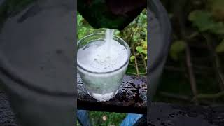 crazy experiment with milk🤭 experiment science water scienceexperiment fact consentgamer [upl. by Marietta]