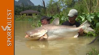 World Record Multispecies Fishery Gillhams Resort Thailand 🎣 [upl. by Baras]