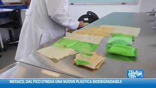 Messico dal fico dIndia una nuova plastica biodegradabile [upl. by Bainbridge]