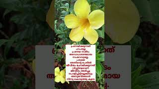 ജീവിത ദർശനം  Motivation  15 November 2024 [upl. by Ezirtaeb]