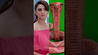 tv actress nagin 🐍 matching dress colour nagintop nagin actress nagin trendingshorts [upl. by Kerrie]