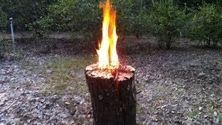 Swedish fire torchOne log fire Neat trick for patiocamping [upl. by Lebasy]